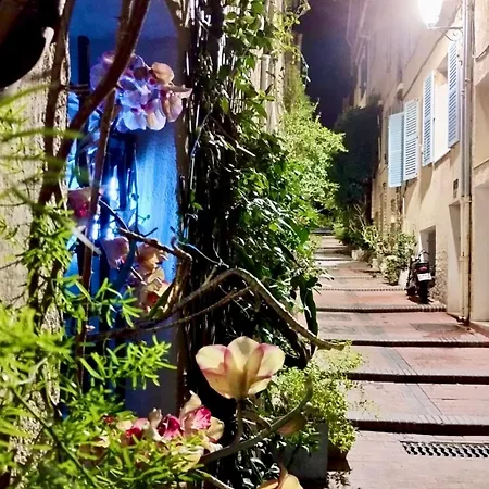 Apartament T1 A *