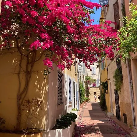 Apartament T1 A Antibes
